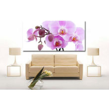 Pink Flower Picture Printed on Canvas for Decor